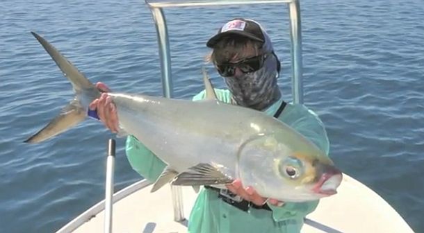 Pic: Mick Fletoridis